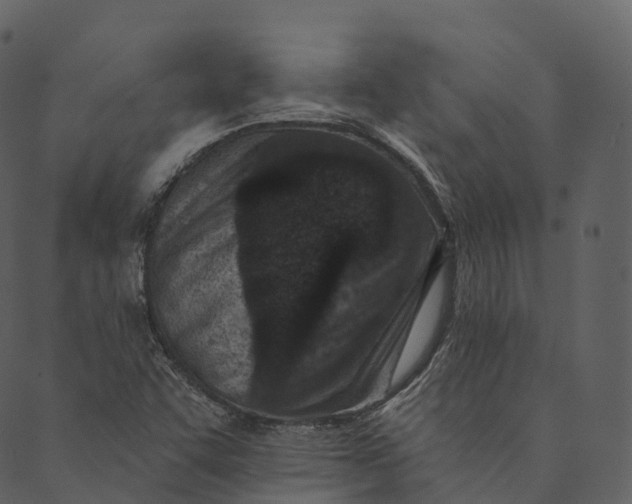 X0000089661455200707121147