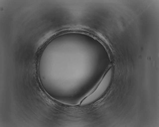 X0000089661456200707121147