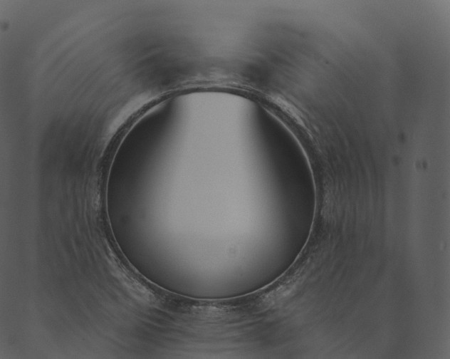 X0000089661458200707121147