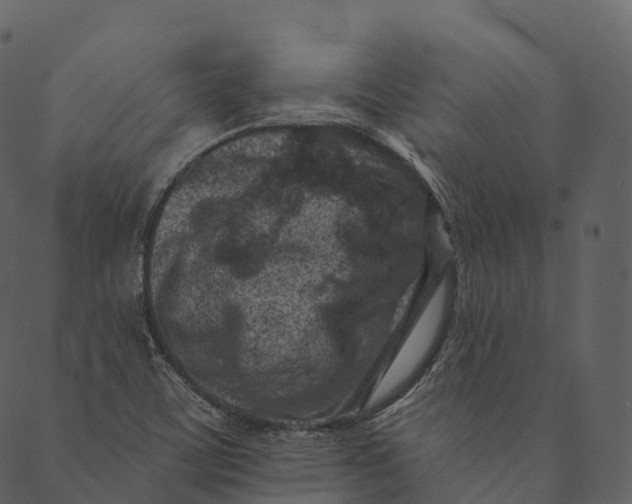 X0000089661459200707121147