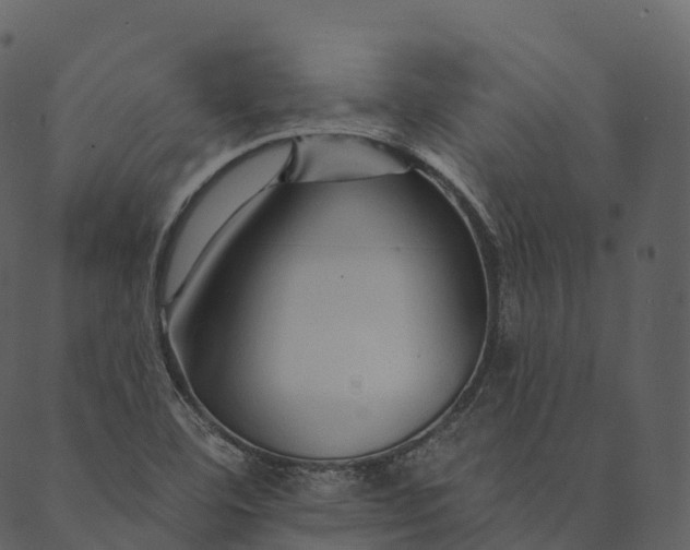 X0000089661460200707121147