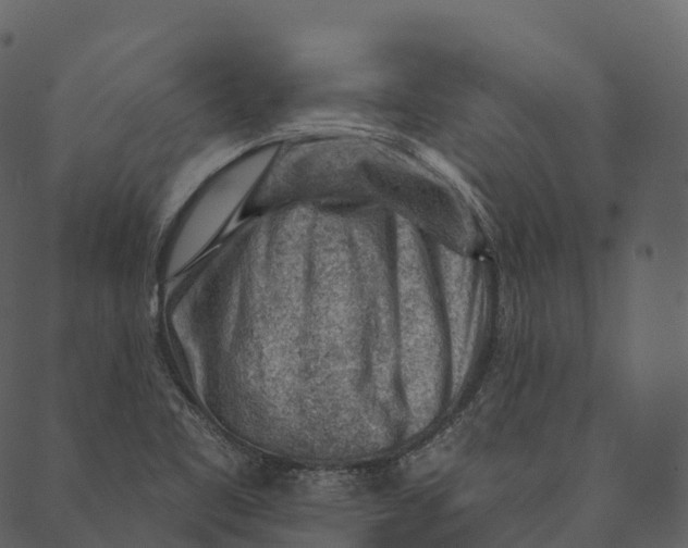 X0000089661461200707121147