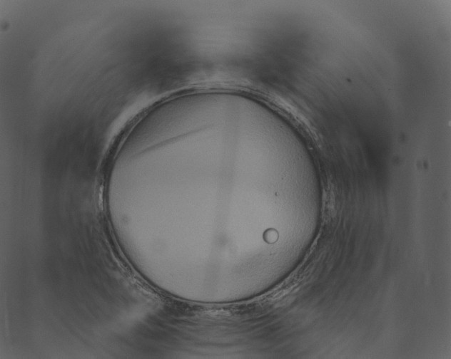 X0000089661462200707121147