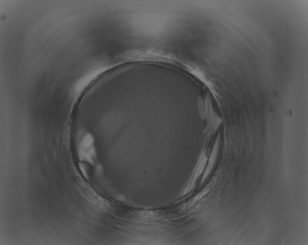 X0000089661463200707121147