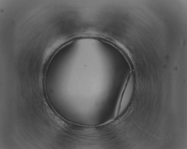 X0000089661464200707121147