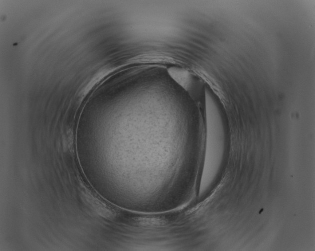 X0000089661465200707121147