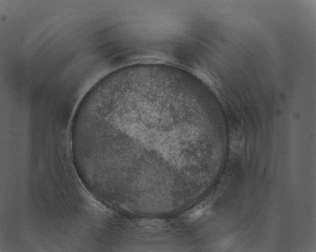 X0000089661466200707121147