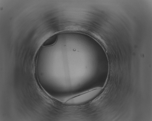 X0000089661467200707121147