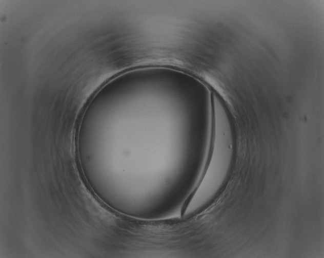 X0000089661468200707121146