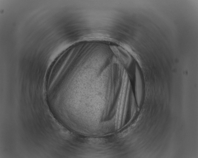 X0000089661469200707121146