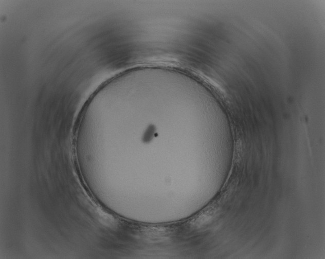 X0000089661470200707121146