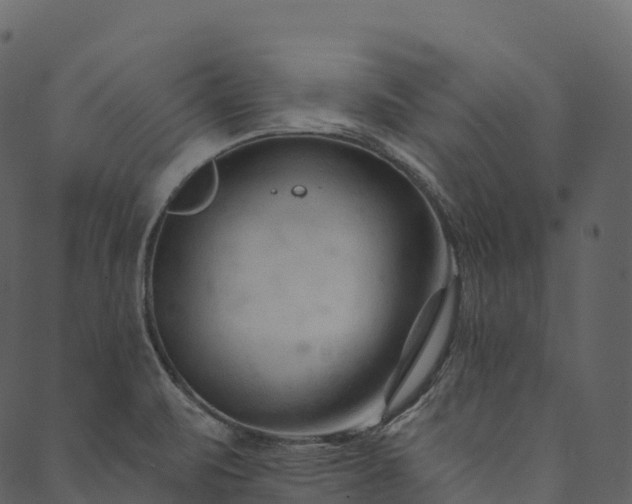 X0000089661471200707121146