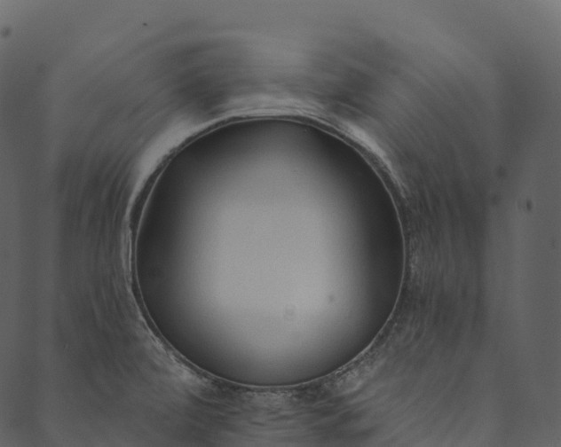 X0000089661472200707121146