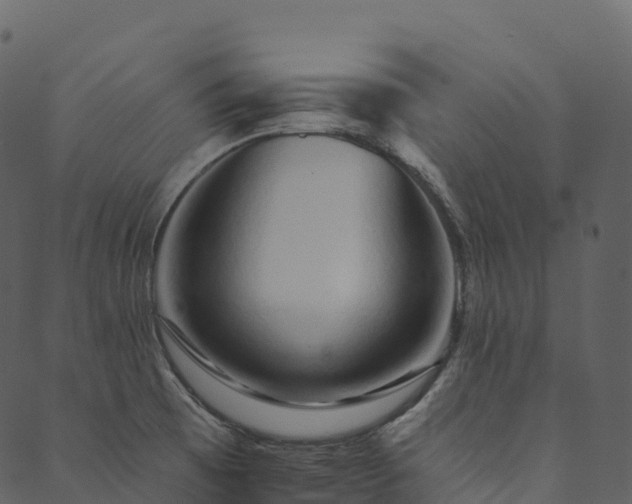 X0000089661473200707121146