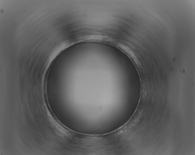 X0000089661475200707121146