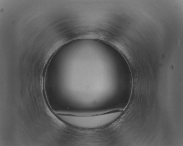 X0000089661476200707121146