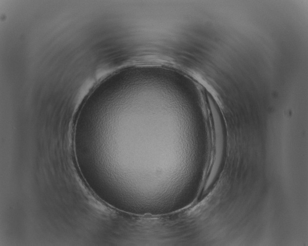 X0000089661477200707121146