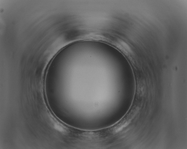 X0000089661478200707121146