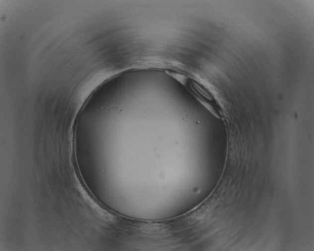 X0000089661479200707121146