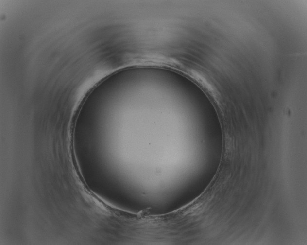 X0000089661480200707121146