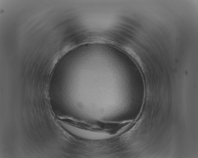 X0000089661481200707121146