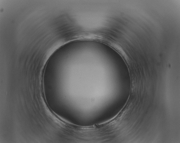 X0000089661483200707121146