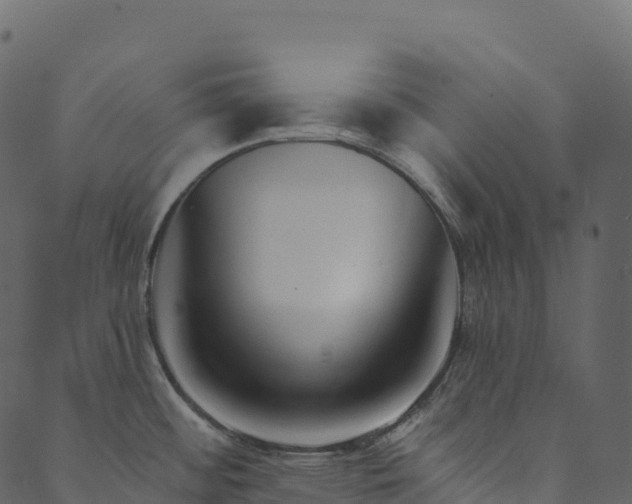 X0000089661484200707121146