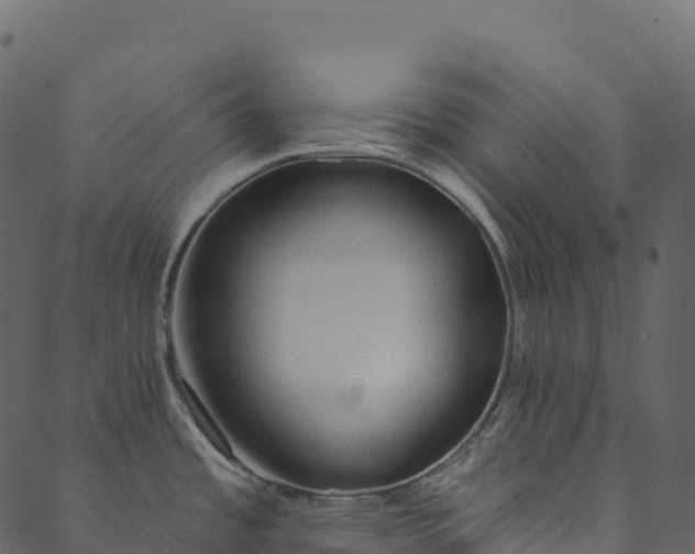 X0000089661485200707121146