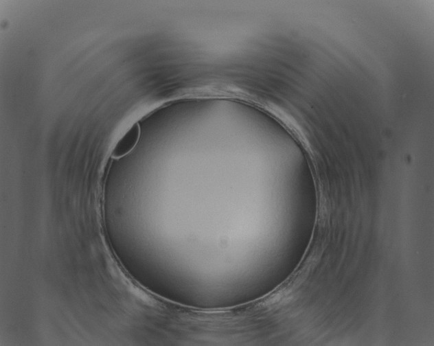 X0000089661486200707121146