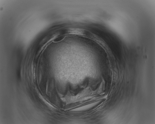 X0000089661487200707121146