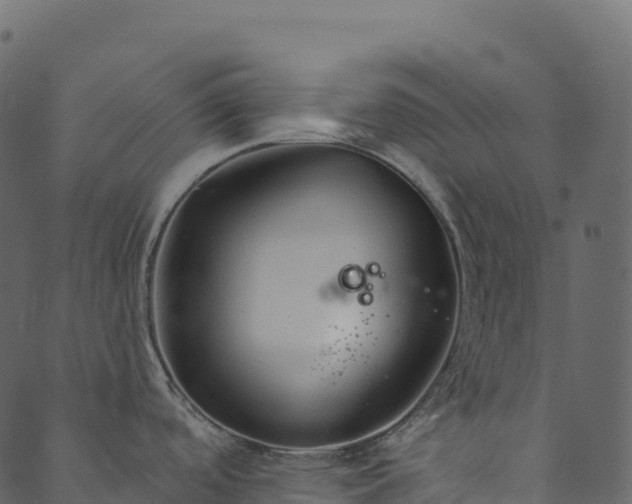 X0000089661488200707121146