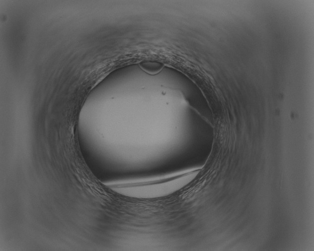 X0000089661489200707121145