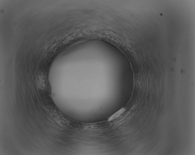 X0000089661490200707121145