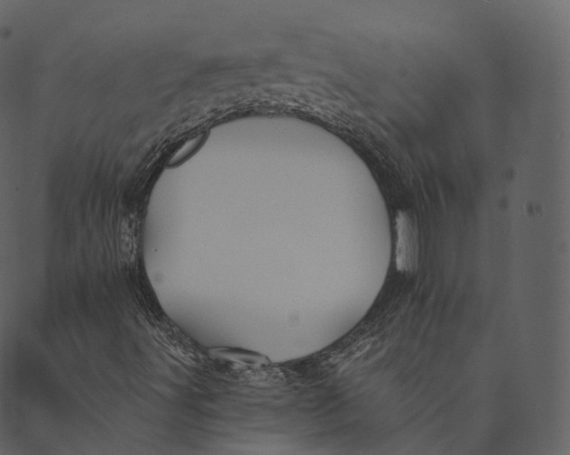 X0000089661491200707121145