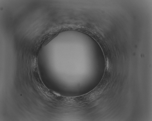 X0000089661492200707121145