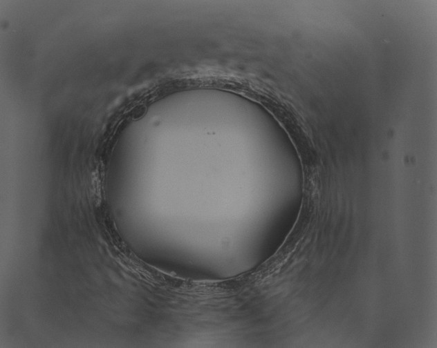 X0000089661493200707121145