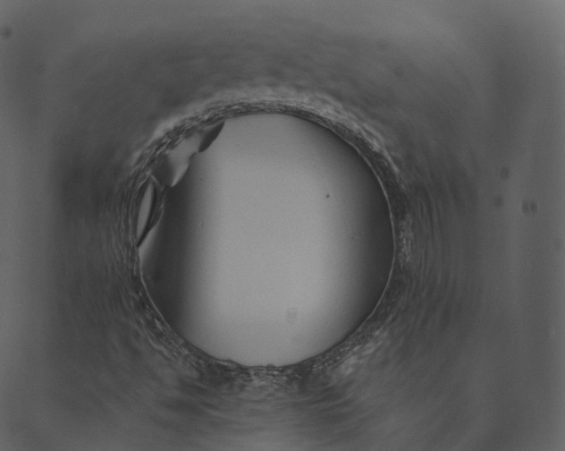 X0000089661494200707121145