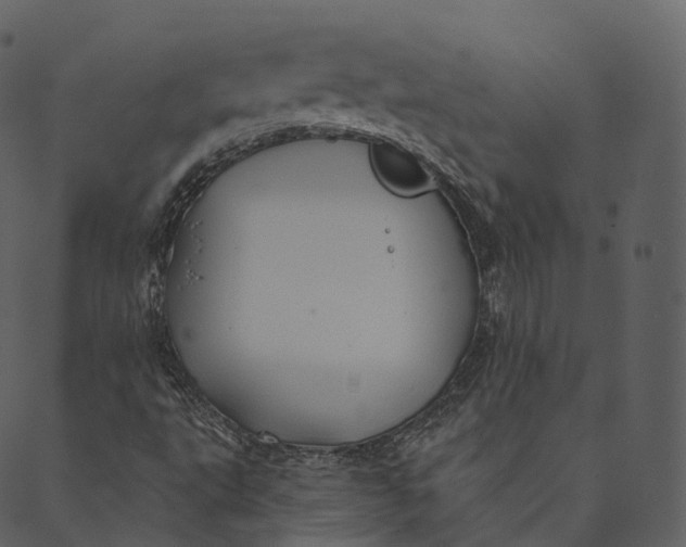 X0000089661495200707121145