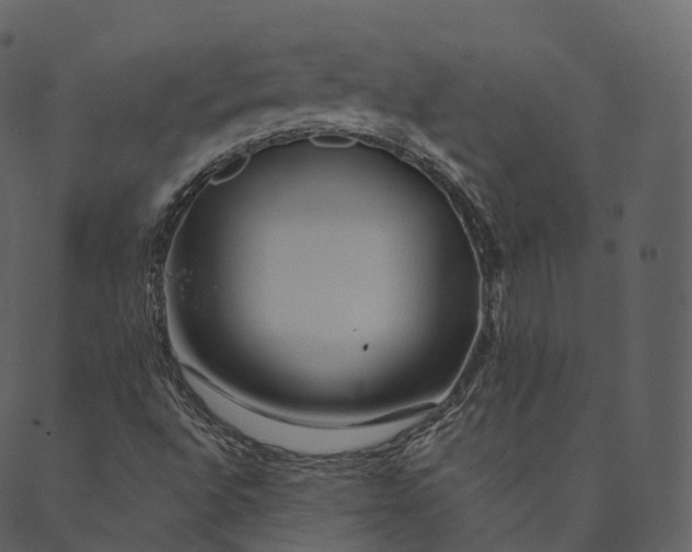 X0000089661496200707121146