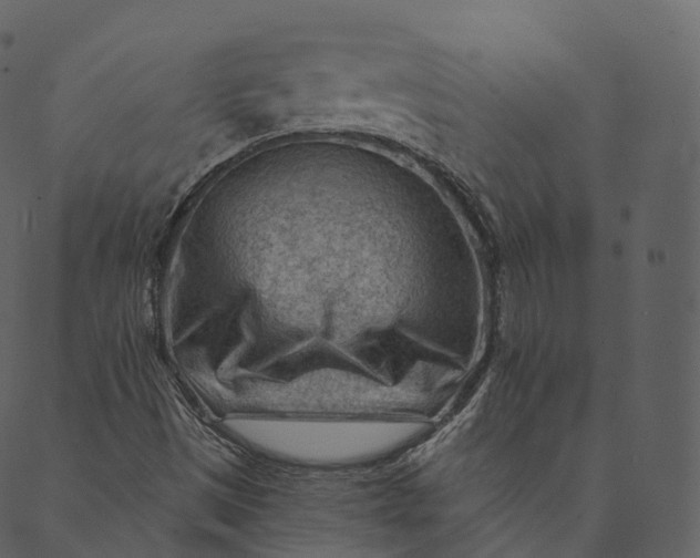 X0000089661497200707121146