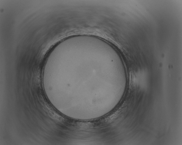 X0000089661498200707121146