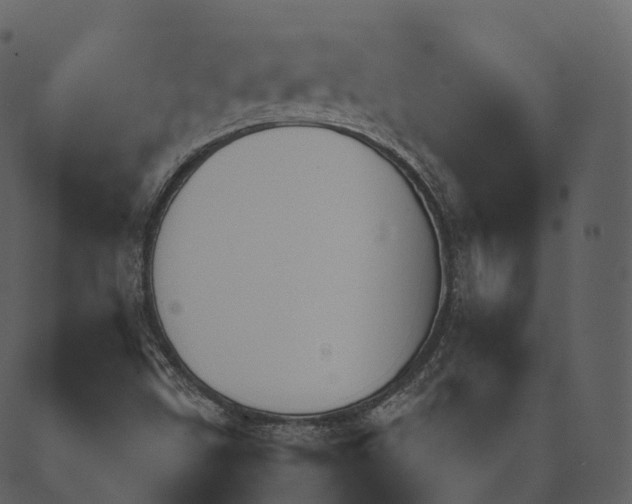 X0000089661499200707121146