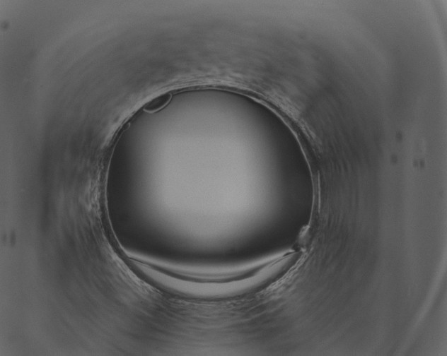 X0000089661500200707121146