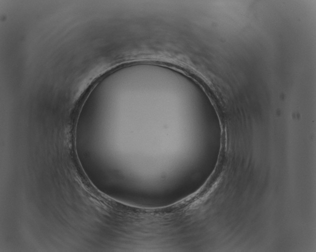 X0000089661501200707121146