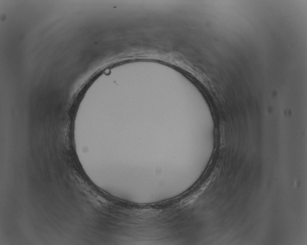 X0000089661502200707121146