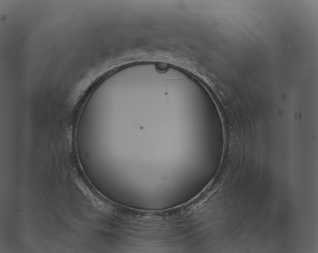 X0000089661503200707121146