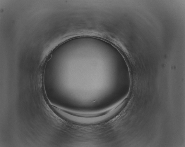 X0000089661504200707121146