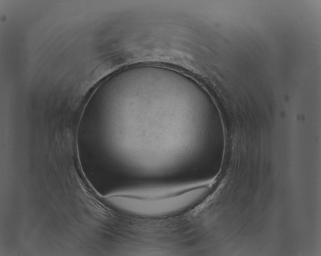 X0000089661505200707121146