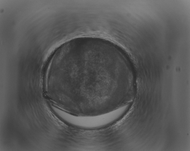 X0000089661506200707121146