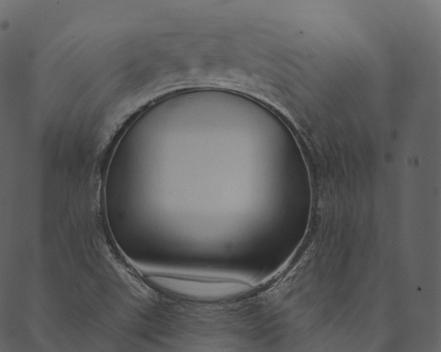 X0000089661507200707121146